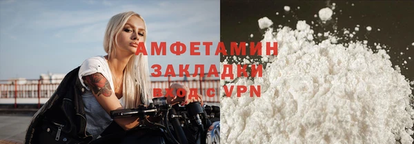 гидра Володарск