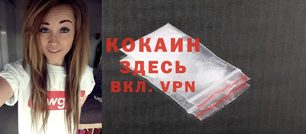 гидра Володарск