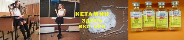 гидра Володарск